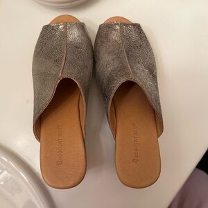 NWOT Chocolat Blu Platform Slide Wedge Sandal